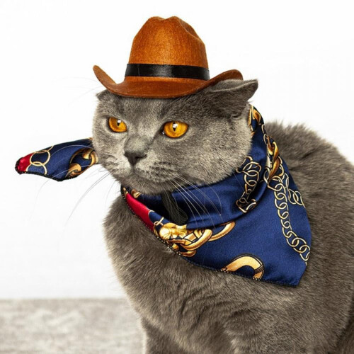 Αστείο Western Cowboy καπέλο για σκύλο, γάτα, καπέλο φωτογραφίας, καθολικό καπέλο σκύλου 2