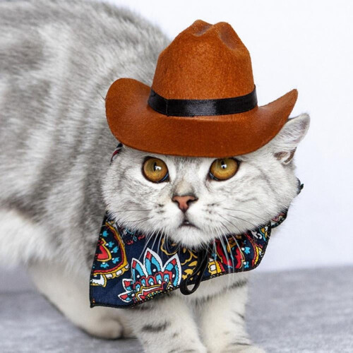 Αστείο Western Cowboy καπέλο για σκύλο, γάτα, καπέλο φωτογραφίας, καθολικό καπέλο σκύλου 1