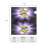 Vikings Team Mailbox Cover Equipped with magnetic mailbox protective cover mailbox protective cover 6