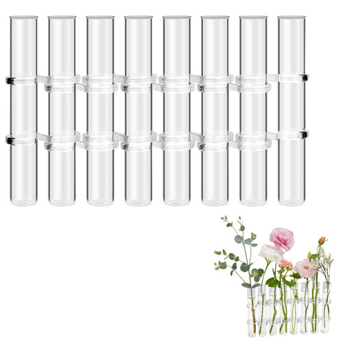 2 Ensembles De Vase Hydroponique Pour De Bureau Terrarium 2