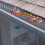 1Ensemble Réseau Noir Protection Gouttière Maison 4