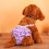 1Pièces Culotte Sanitaire Violet En Coton Pour Chiot 4
