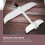 2 Sets Hand Toss Plane Foam White Model Flight 48c 5