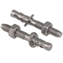 Stainless Steel Anchor Bolts M8 M6 M10 Heavy Duty Expansion Bolts 100mm Pack of 10