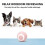 Μπάλα παιχνιδιού για γάτες Herrnalise Pet, παιχνίδι για γάτες, μαγική μπάλα με κύλιση 4