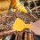 2 Pièces Grattoirs Multifonction Pour Miel Outil Apiculture 3