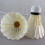 24 Pcs Playing Shuttlecocks White Badminton Outdoor 8