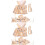 2Pcs Rabbit Bow Harness And Leash Set For Small Pets 5