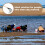 2 Hoogkoolstofstaal Hark Strand Mosselgraverhulpmiddel 5