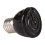 25/50/75/100W E27Infrared Κεραμική λάμπα θερμότητας κόκκινου φωτός για ερπετά κατοικίδιων 2