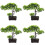 4pcs Welcome Song Desktop Artificial Flower Plastic 7