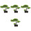 4pcs Welcome Song Desktop Artificial Flower Plastic 5