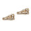 2pcs Dinosaur Skull Resin Model Specimen Ornament 5