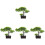 4pcs Welcome Song Desktop Artificial Flower Plastic 4