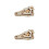 2pcs Dinosaur Skull Resin Model Specimen Ornament 4