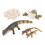3 Sets Simulation Model Eggs Toy For Kids 1