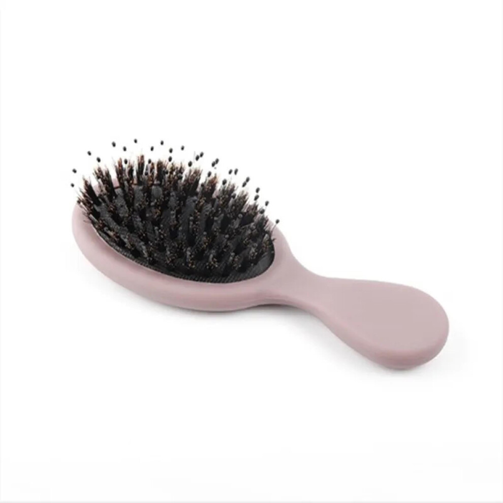 Detangling Hair Brush for Wet and Dry Hair with Nylon Bristles, Vented Design for Curly Hair
