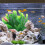 Διακόσμηση ενυδρείου WinysinAquarium που προσομοιώνει υποβρύχια υδρόβια φυτά 47cm που 4