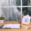 12 Pcs Screen Mesh Window Screen No Punching White Window 10