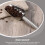 5pcs Four Ice Scoops Practical Food Cereals 5