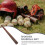 Eease Voksen 61,5 cm Træ Baseballbat 6