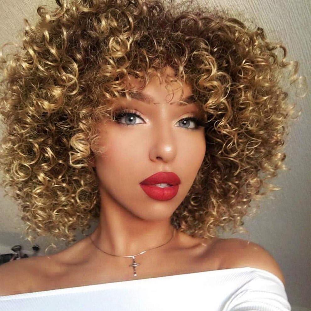 Unisex Afro Kinky Curly Synthetic Ombre Wig For Women With Natural Texture And Heat Resistant Styling