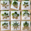 Set di stencil floreali AURORA TRADE – 9Creative Designs 1
