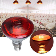 Accaprate 250w Infrared Heat Lamp Anti Explosion Thickened Light Bulbs For Piglet Chicken Duck Birds Limited Time Deals Today