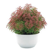Realistic Artificial Bonsai For Living Spaces, Simulation Moss Landscape Brings Nature Indoors Without The Hassle