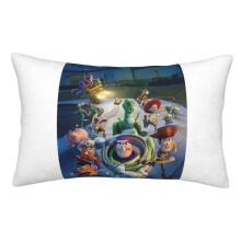 Toy Story Pillowcases, Super Soft and Cozy Fuzzy Pillow Cases with Zipper, 20x30 Inches, Bedroom, Sofa, Couch,All Seasons Pillow Case