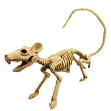 SUSUchens Halloween șoarece schelet ornament înfiorător realist animal schelet os pentru petrecere decor