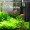 Corner filter for aquarium, internal filter with aquarium pump 600L 4
