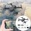 Drone Latest Drone with Camera Drone with Auto Foldable Quadcopter Best Beginner Drones App Quadairdrone 1