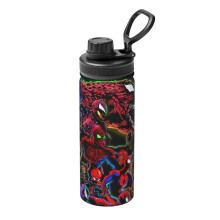 Into the Spider-Verse Sport Geïsoleerde Waterfles Roestvrij Staal Draagbare Beker Kinderthermosfles 530 ml (18 oz) Reis-, fitness- en schoolgebruik