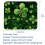 Mouse Pad Green Leaves 8,3'' x 9,8'' με αντιολισθητική βάση από καουτσούκ, συμβατό με φορητούς 5