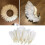 100 pcs/set Goose feathers Miscellaneous Feathers WHITE white 3
