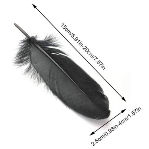 100 pcs/set Goose feathers Miscellaneous Feathers WHITE white 1