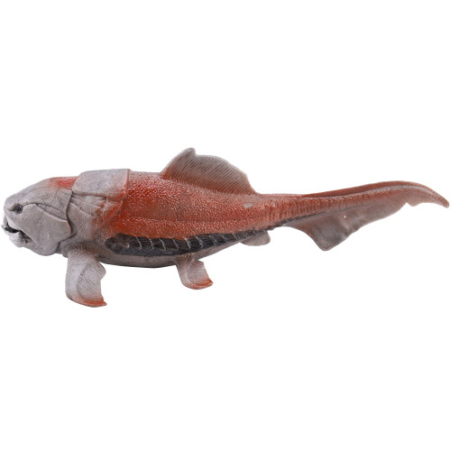 Μοντέλο παιχνιδιού 20 εκατοστών Dunkleosteus Δεινόσαυρος Ψάρι Διακόσμηση Φιγούρα 1