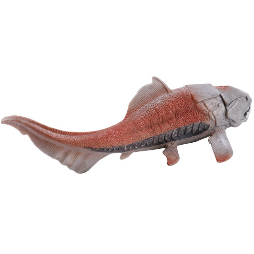 Μοντέλο παιχνιδιού 20 εκατοστών Dunkleosteus Δεινόσαυρος Ψάρι Διακόσμηση Φιγούρα 2