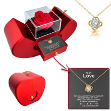 YANHAIGONG Geconserveerde Roos met Ketting en Doosje, Cadeau voor Haar, Vrouwen, Moeder, Echtgenote - Perfect voor Kerstmis, Valentijnsdag,