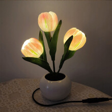 LOOPSUN Valentinsdagsudsalg 2024! LED-bordlampe, blomsterformet natlampe, soveværelsesindretning og gave, lille bordlampe til hjemmet – kompatibel