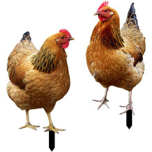 Galinha realista para jardim, estacas decorativas de acrílico, decoração externa com galo, pontas afiadas sob as patas para fácil instalação,
