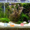 Σετ παιχνιδιού Ocean Micro Landscape Sea Life, 12 τεμάχια ειδώλια ζώων της Μεσογείου, μίνι 5