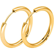 1 par de pendientes de aro unisex de acero inoxidable estilo huggie punk - Dorados, 2,5 mm x 10 mm, SoundsBeauty