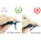 Eyeshadow Stamp Crease Applicator Kit with Pigmented Powder, Washable Silicone, BeginnerFriendly 4