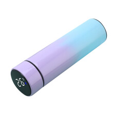 Chmadoxn waterfles, roestvrijstalen sportwaterfles met LED-temperatuurweergave, vacuümgeïsoleerde waterfles in de uitverkoop.