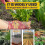 Enxada manual para jardinagem, enxada oca de 38 cm (15 polegadas) para remoção de ervas daninhas, com cabo de borracha antiderrapante (oca). 8