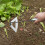 Enxada manual para jardinagem, enxada oca de 38 cm (15 polegadas) para remoção de ervas daninhas, com cabo de borracha antiderrapante (oca). 4