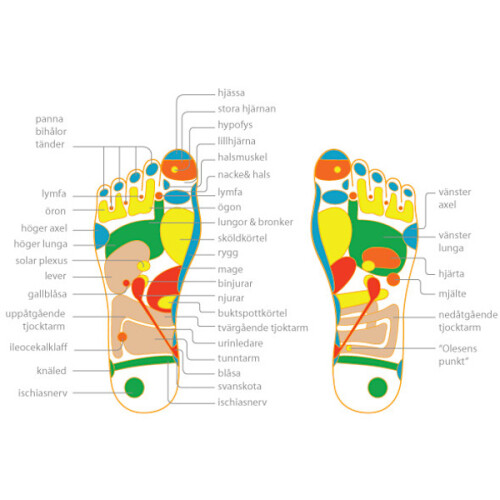 TENS EMS Fodmassage | Cirkulationstræner 1