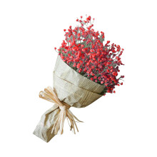XIUH Halloween Výprodej! Dekorace do domácnosti Přírodní sušené květiny Dekorace do domácnosti Přírodní sušené květiny Gypsophila s